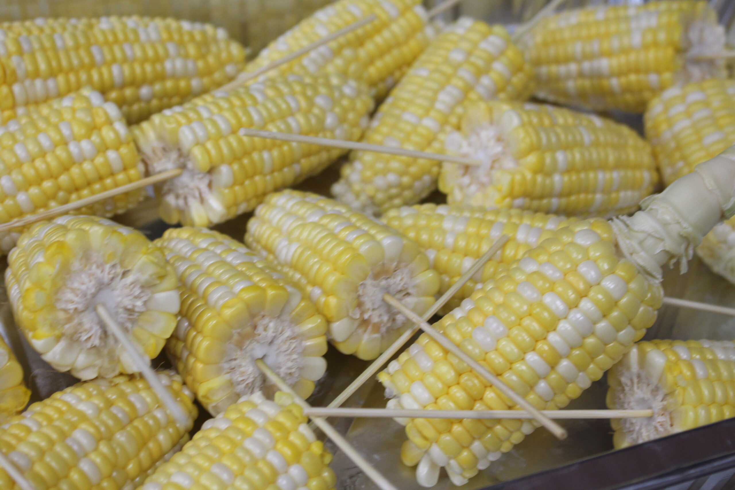 ⚠️CRIPTOVALUTE: Cango raggiunge oltre 6.500 BTC estratti senza vendite segnalate