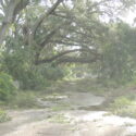 Gulfport