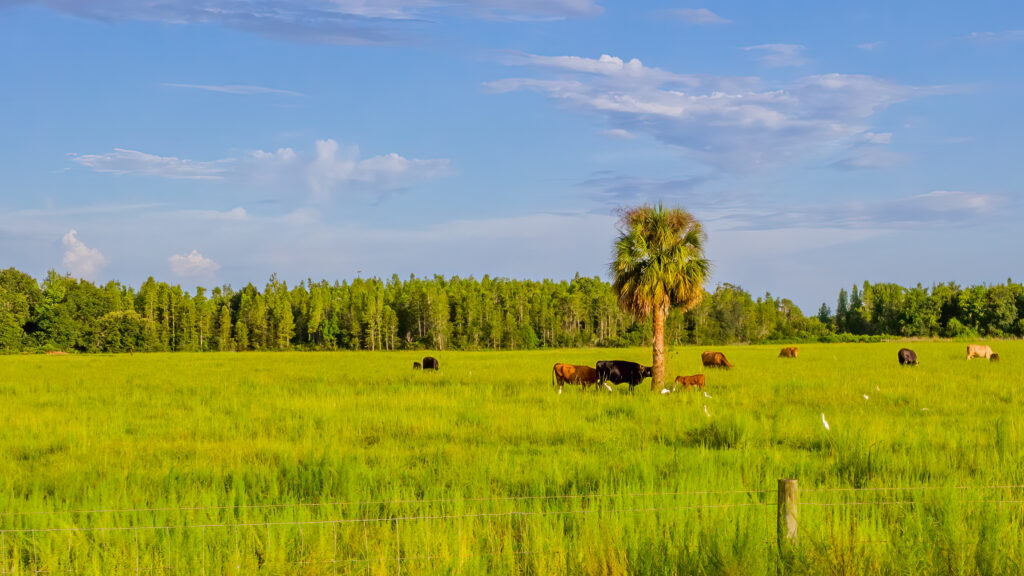 A $3 million deal shields Florida farmland from development