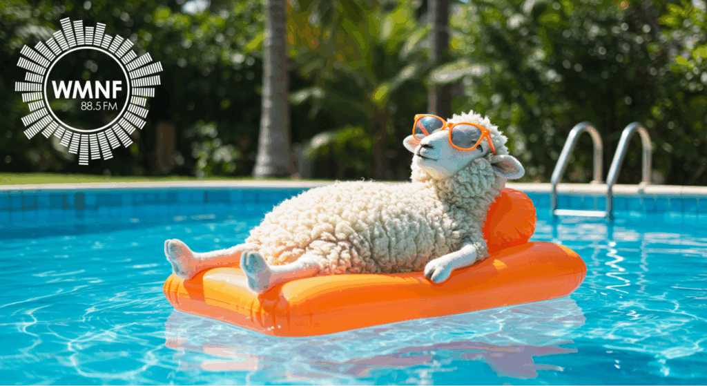 Water Restrictions For Hillsborough Pinellas And Pasco Extended water-restrictions-for-hillsborough-pinellas-and-pasco-extended