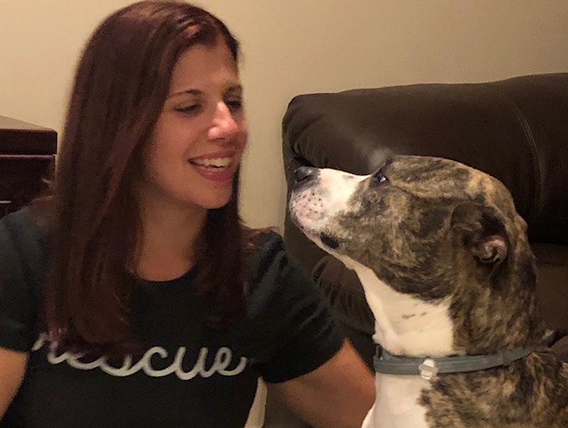 Florida Nonprofit Created By Animal Rescue Veteran Seeks To Mitigate Scenario Whereby Fewer Than 20% of Domestic Violent Shelters Nationwide Accept Pets