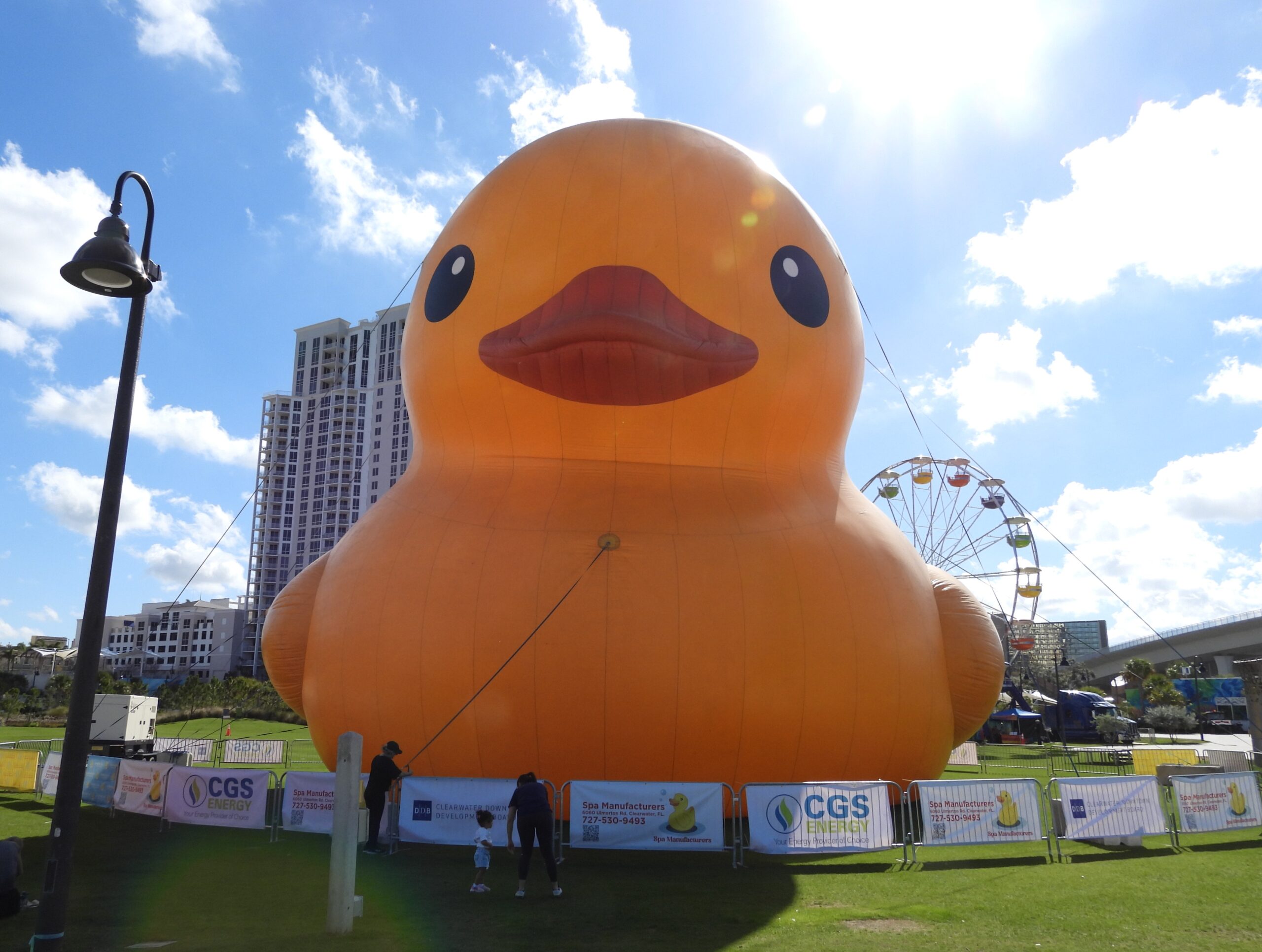 ‘World’s Largest Rubber Duck’ lands in Clearwater