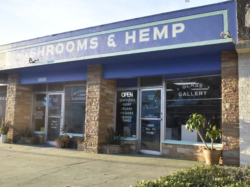 ‘Legal mushroom dispensary’ to close St. Pete location