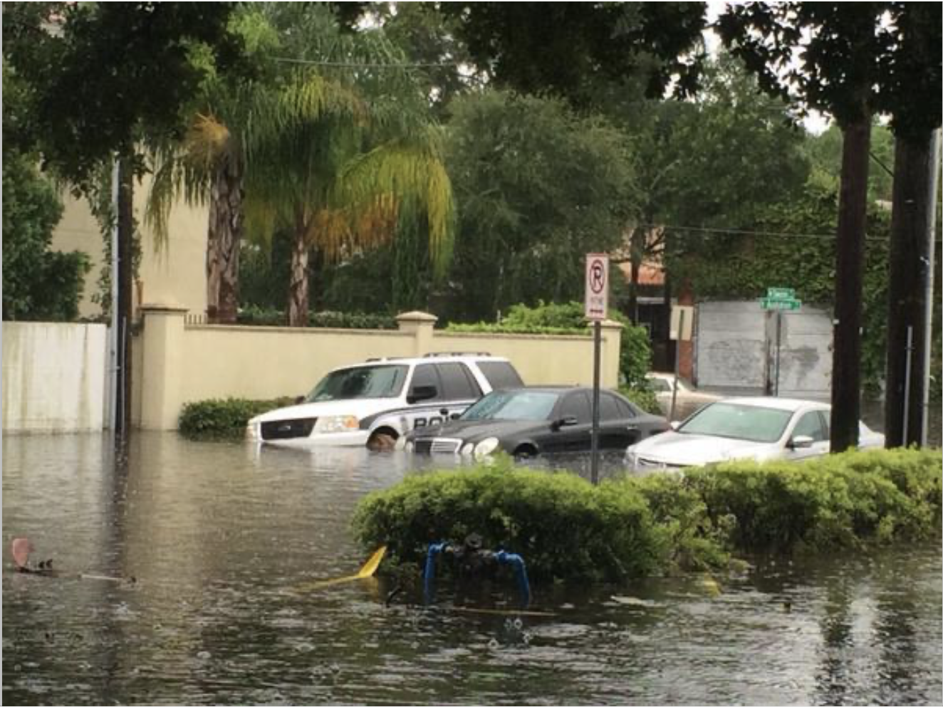 SoHo Business Alliance sues Tampa over public records