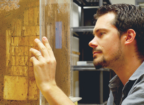 All about termites with Dr. Thomas Chouvenc episode artwork